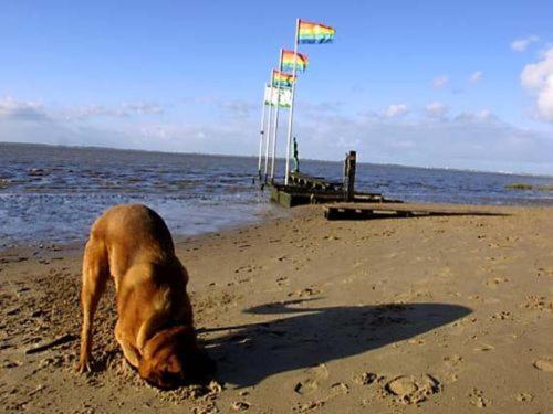 Ferienhaus Cordes, Fewo Vermittlung Nordsee Dangastermoor エクステリア 写真